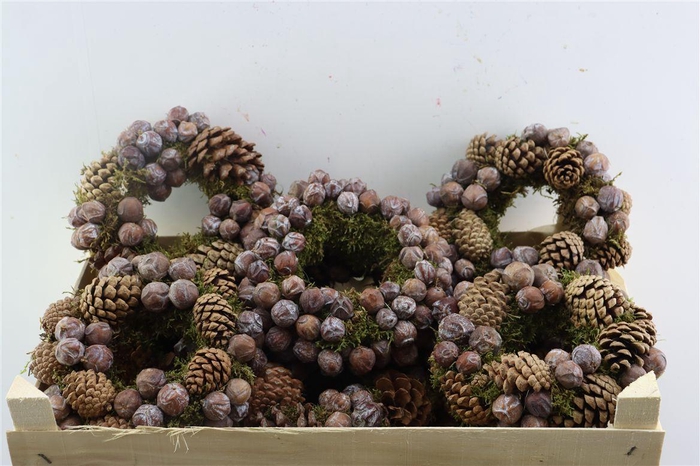 <h4>Wr Christmas Nature 20cm</h4>