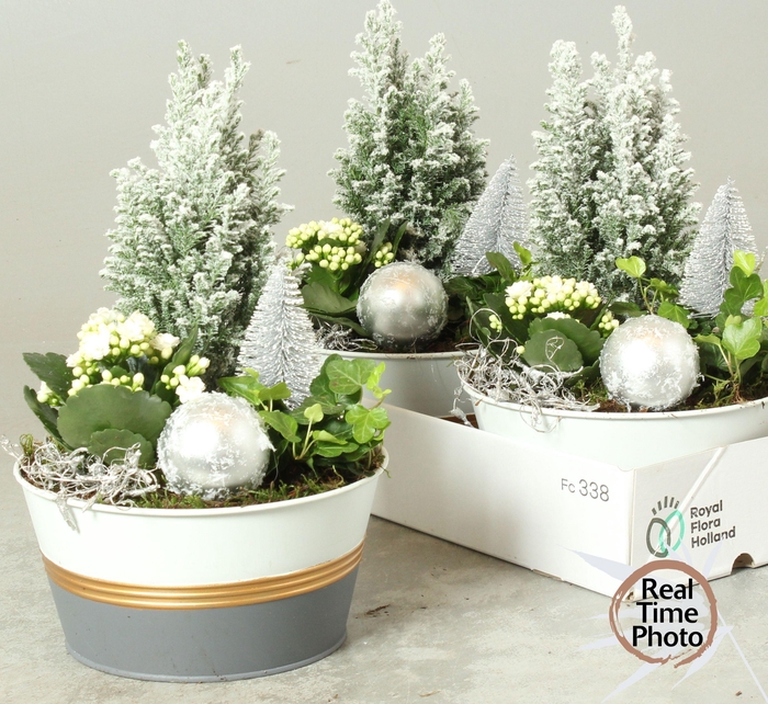 <h4>ARR KAMERPL</h4>