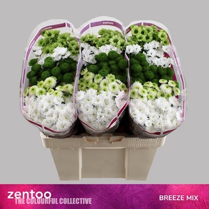 Chr San Mix Breeze Zentoo