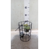 Arr.  Succulents L%