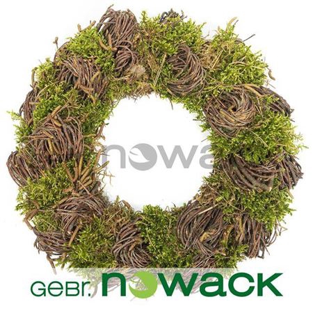 Wr Easter Birch Hooi Moss 30cm