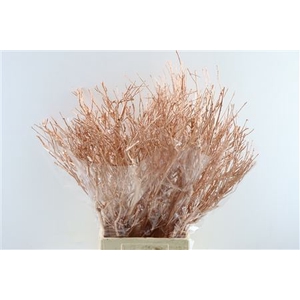 Bundle Tea Branch Copper 65cm