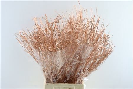 <h4>Bundle Tea Branch Copper 65cm</h4>