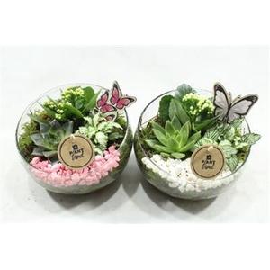 2071 Half Glas Roze/wit