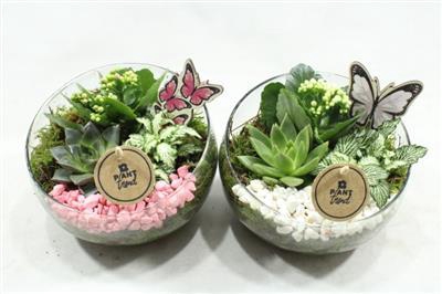 <h4>2071 Half Glas Roze/wit</h4>