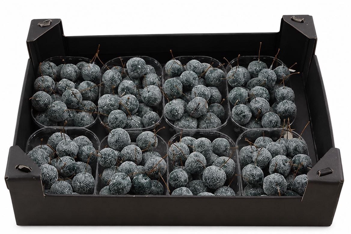 <h4>Waxmalus Gl Groen Dennen Groen</h4>