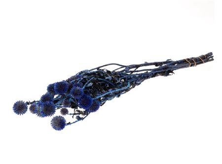 Bunch Echinops Pres.150g L60