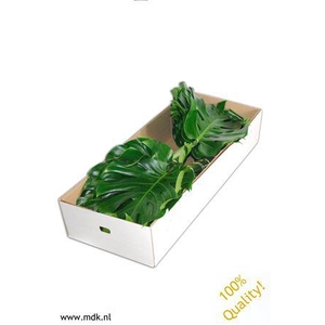 Monsterablad Quality Greens Doos