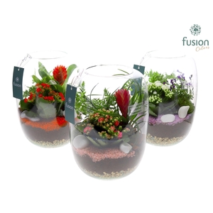 Green Bottle Isabella Large met Arrangement 24uur levertijd