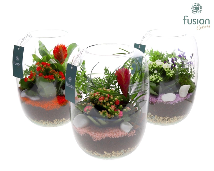 <h4>Green Bottle Isabella Large met Arrangement 24uur levertijd</h4>