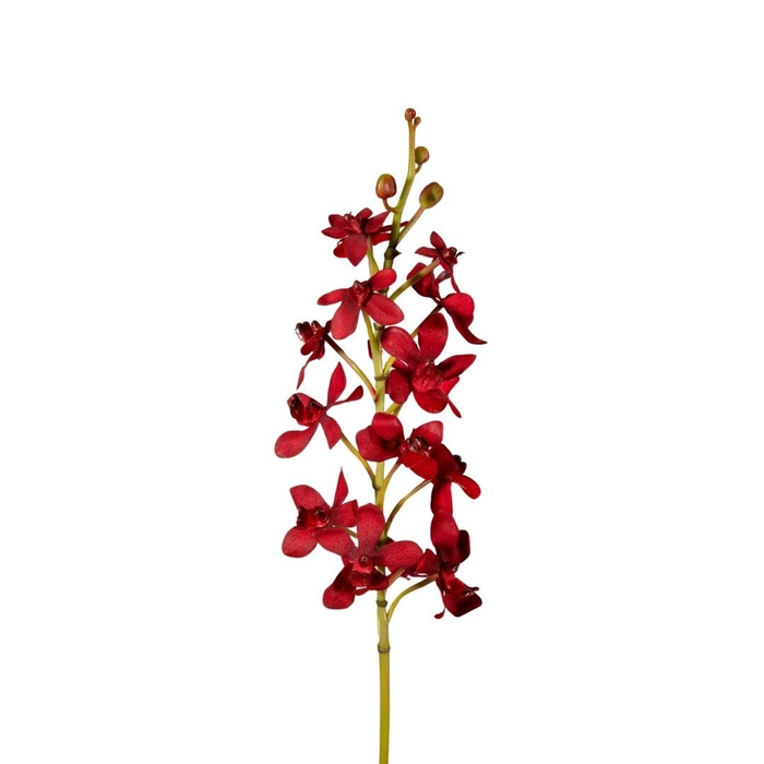 Artificial flowers Orchid Vanda 70cm