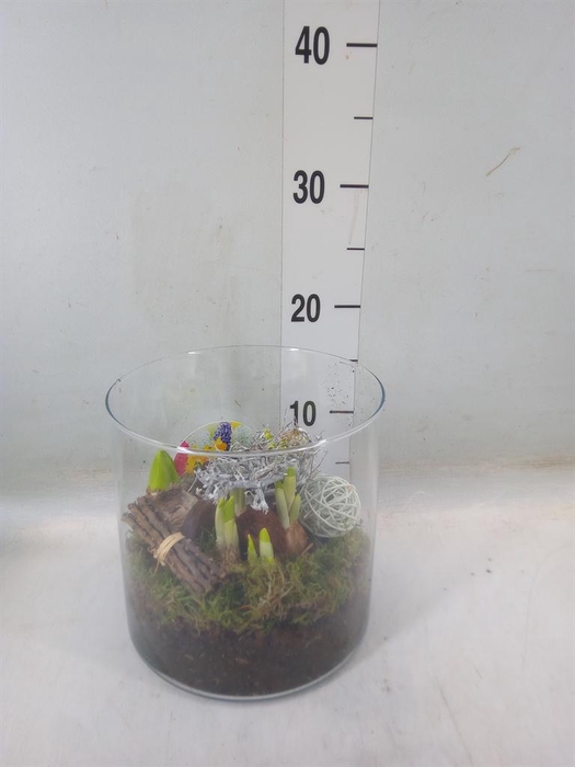 <h4>Arr.   Bol/Knolgewas L%</h4>