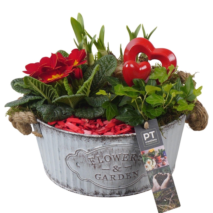 <h4>PTVO3607 Arrangement Valentine Outdoor in metalen schaal</h4>