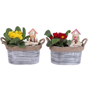 Early Spring Arr. Outdoor Zinc Pot Oval Rope Ø23cm 2PP