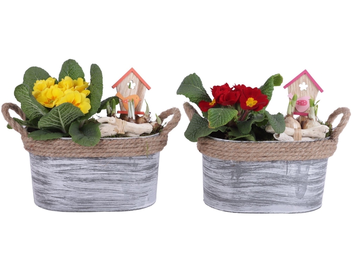 <h4>Early Spring Arr. Outdoor Zinc Pot Oval Rope Ø23cm 2PP</h4>