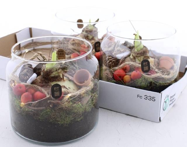 <h4>ARR BOL KNOLGEWAS</h4>