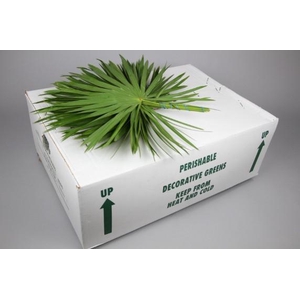 PALMETTO X25
