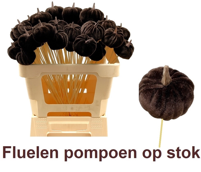 <h4>HUIS EN TUINDECO H%</h4>