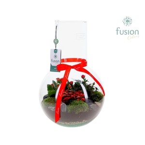 Green Bottle Suzanne Large met Love arrangement