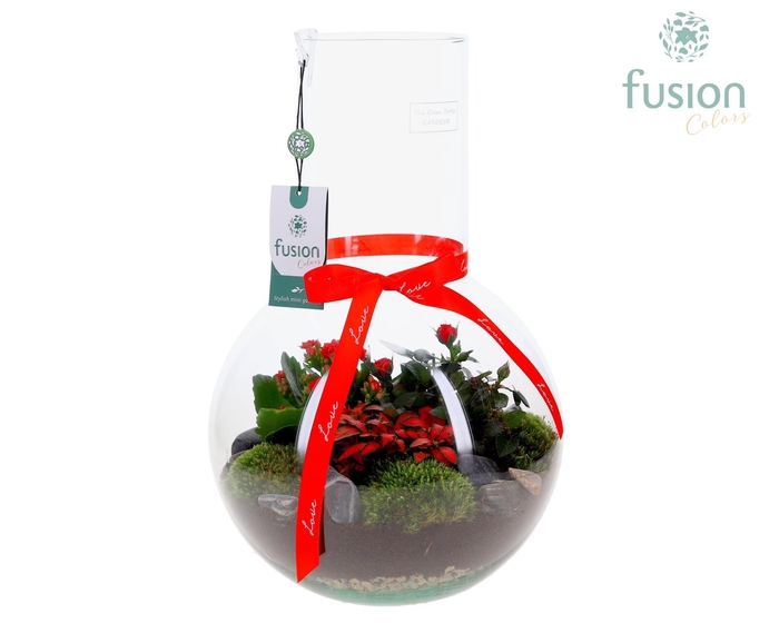 <h4>Green Bottle Suzanne Large met Love arrangement</h4>