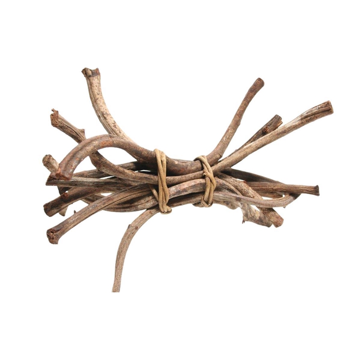 <h4>Bundle Crazyvine 10 Pcs L30</h4>