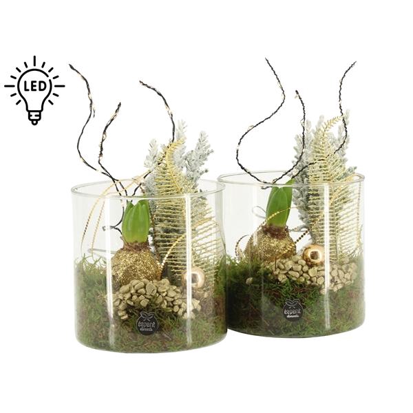 <h4>61926: X-mas arrangement met LED</h4>