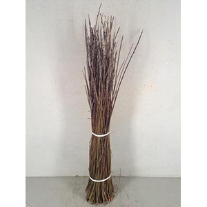 Willow Bundle  80-100cm