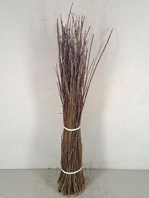 Willow Bundle  80-100cm