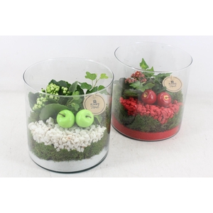 arr2 PL - Cilin. breed 999/6 - rood/wit