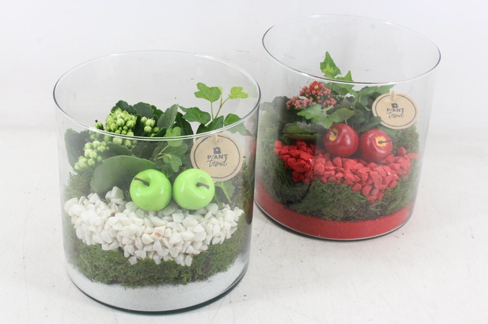 <h4>arr2 PL - Cilin. breed 999/6 - rood/wit</h4>