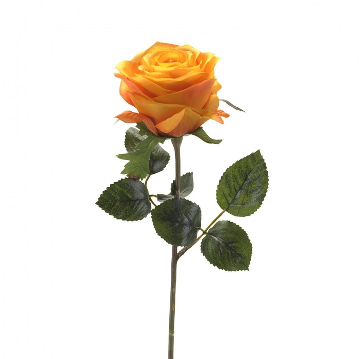 <h4>Rosa 45cm</h4>