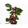 MALUS GORGEOUS BLOSSOM PER STEM 150CM