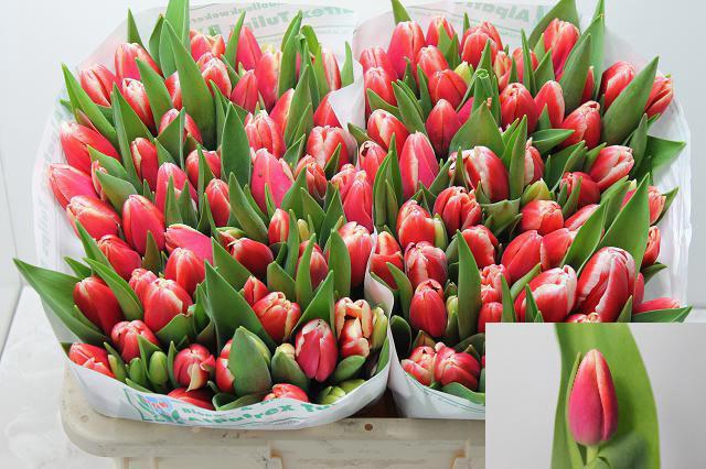 <h4>TU EN OUTFIT</h4>