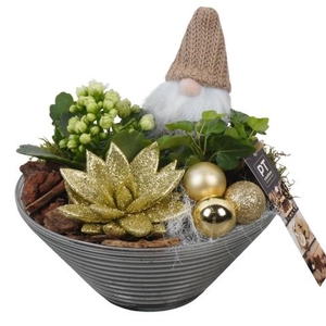 PTCHG5708 Arrangementen Kerst