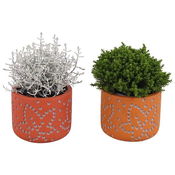 <h4>Autumn Arr. Outdoor Concrete Dotted Ø11cm 1PP</h4>