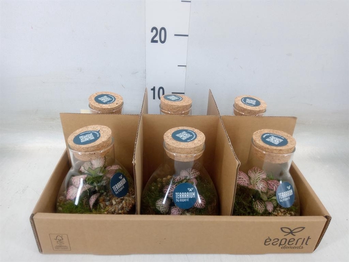 <h4>Arr.    Planten  L%</h4>