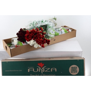 Di St Special mix Xmas