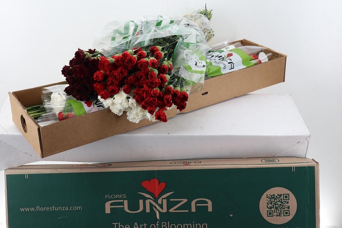 <h4>Di St Special mix Xmas</h4>