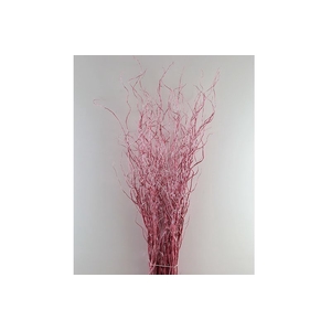 Salix Klb Metalic Rose