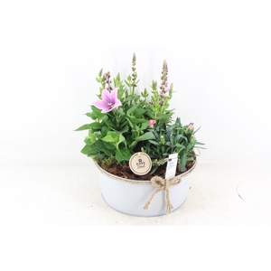 arr4 Outdoor PL - Zink rond strik Los