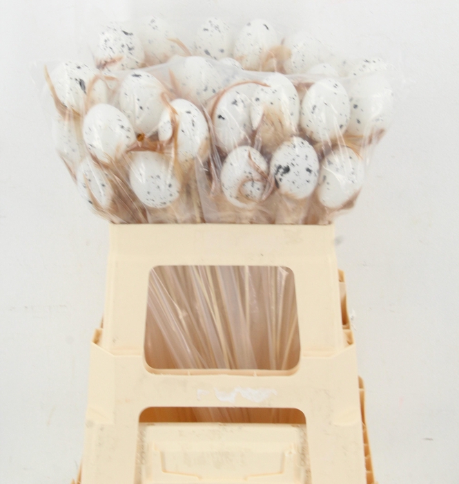 <h4>KIEVITSEI OP STOK H%</h4>