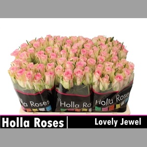 R GR LOVELY JEWEL