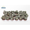 Mammillaria Matudae (group)