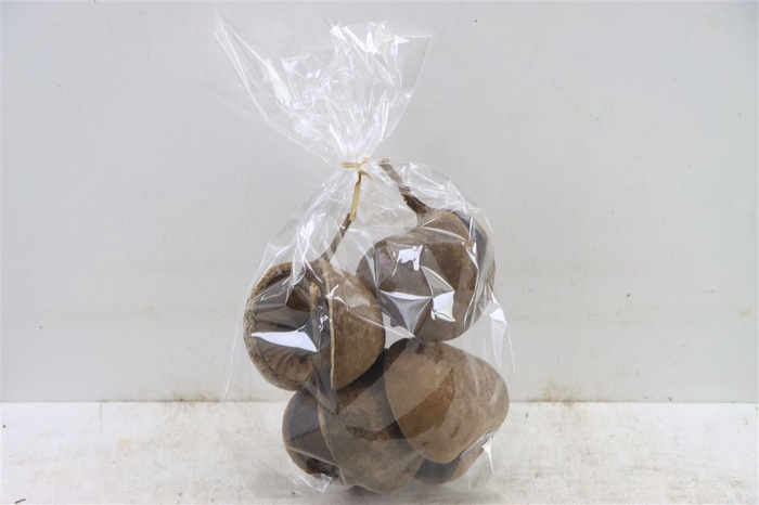 <h4>Buddha Nuts 4pc Bag</h4>