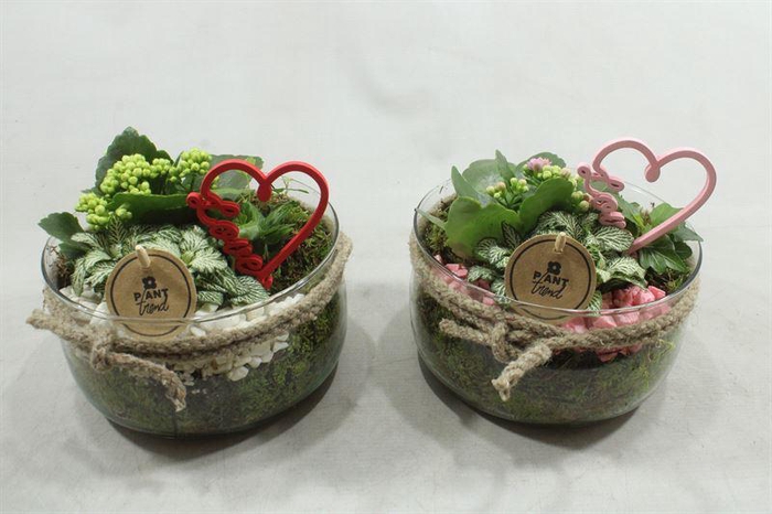 <h4>6802 BOSE MIDDEL X3</h4>