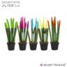 <h4>'Spaghetti' VELVET TOUCHZ® MIX IBIZA</h4>