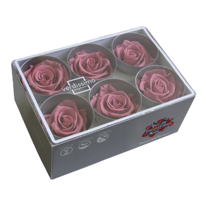 Roos standard cherry blossom
