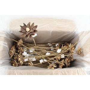 Stick Dahlia Spider Naturel