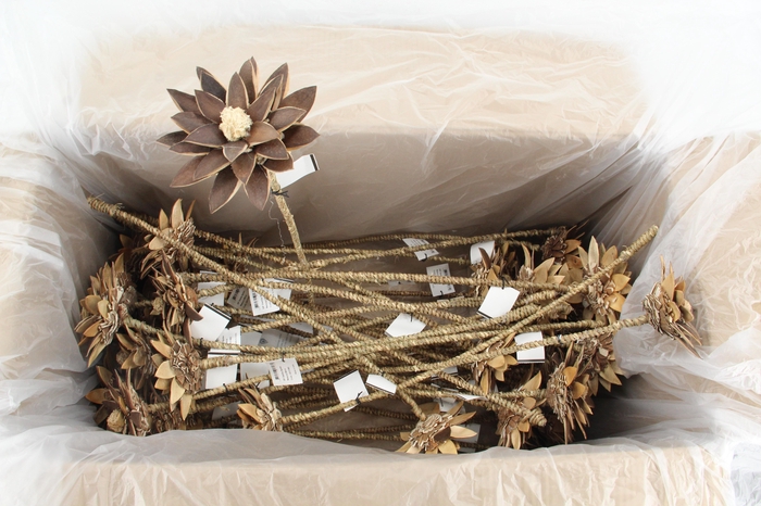 <h4>Stick Dahlia Spider Naturel</h4>