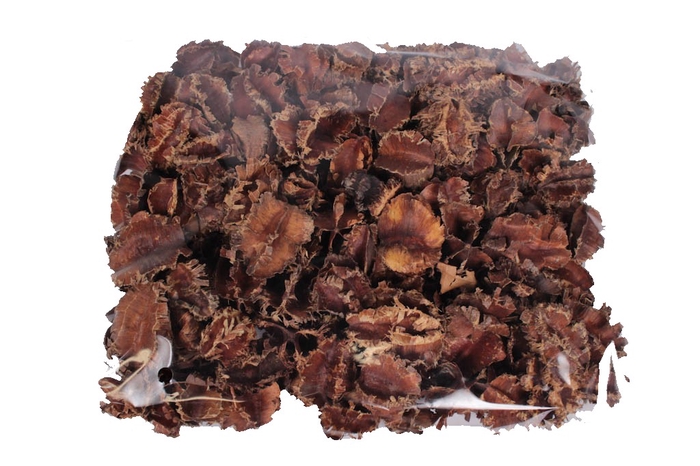 Arjun large 250gr in poly Natural